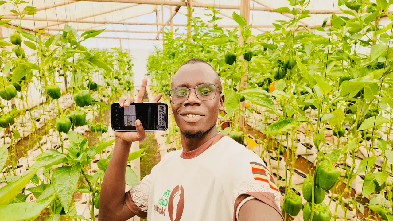 تحول رقمي في الدفع عبر الهاتف يغير حياة المزارعين في أفريقيا